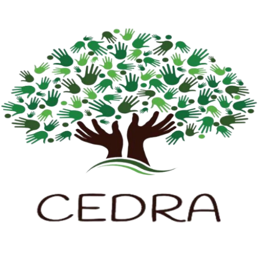 cropped-logo.png